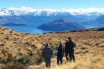 Image of CRIFFEL STATION FARM TOURS - Wanaka